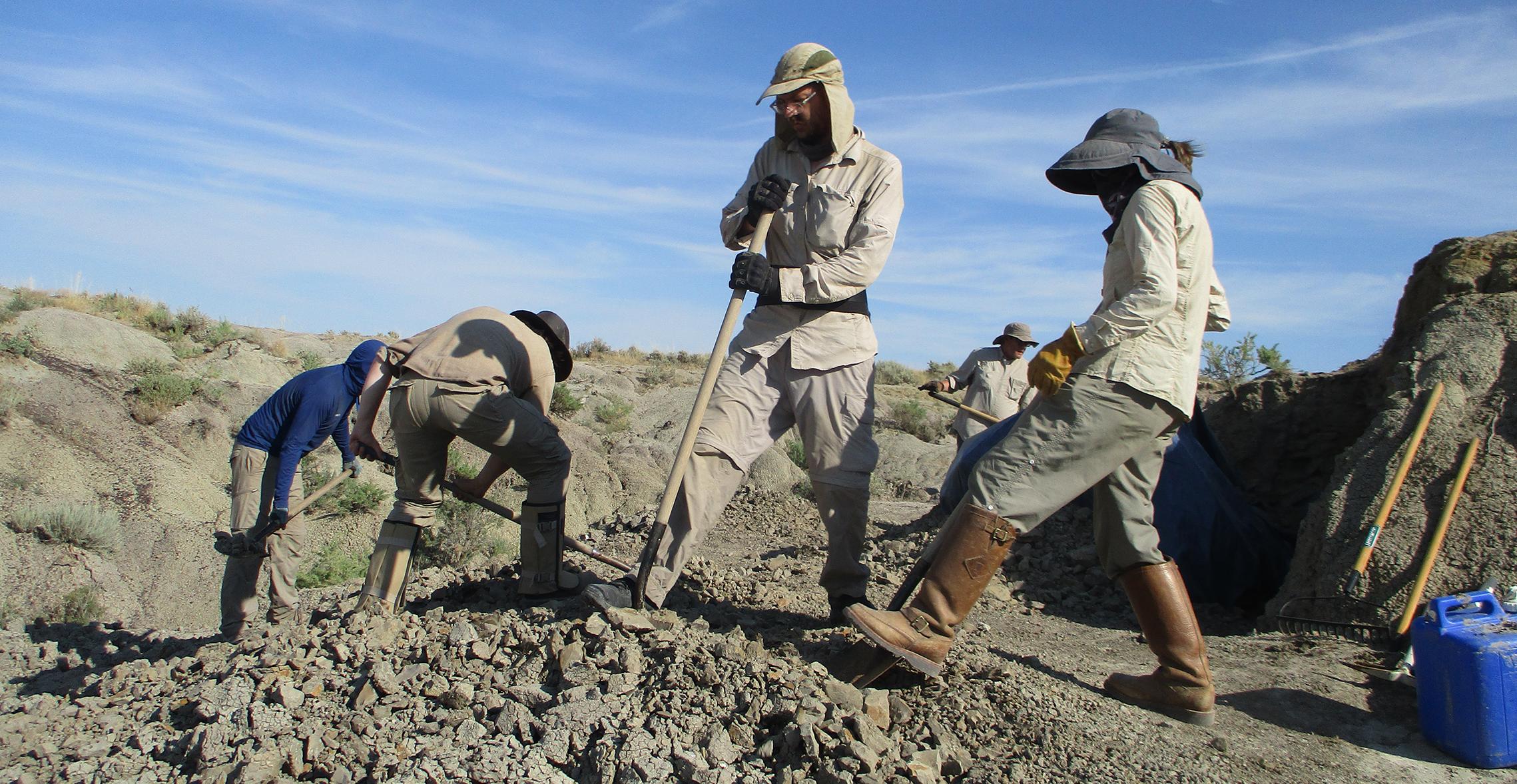 Student pursuing a biology major at Carthage College and specializing in paleontology at a dig site in Montana.